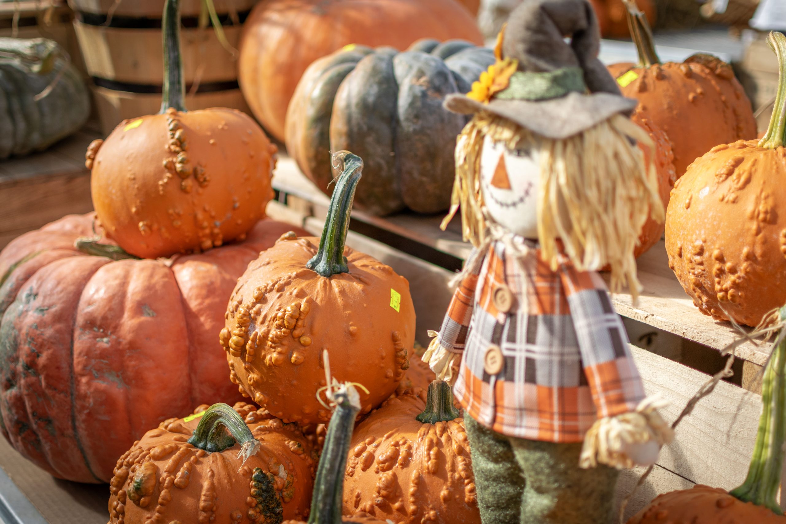 Discover the Magic of Fall in Oneida County, NY