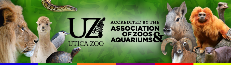 Utica Zoo Achieves Accreditation with the Association of Zoos and Aquariums!